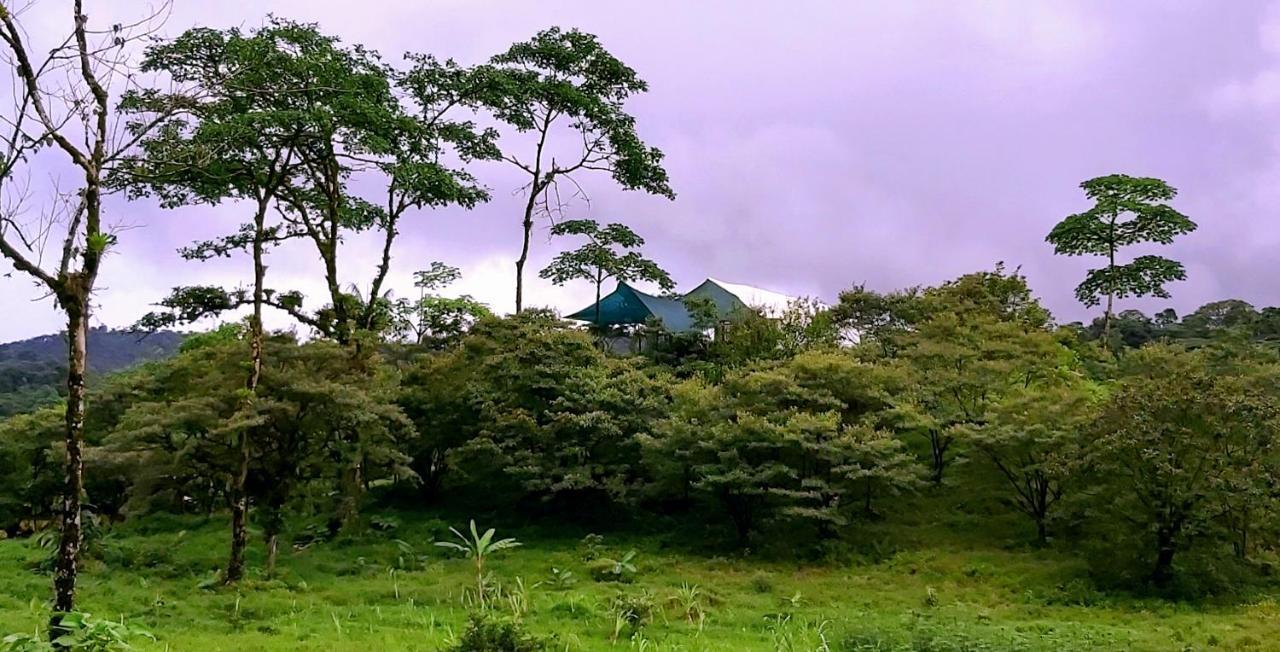 Garza Del Sol Glamping Rio Celeste Buganvilia Esterno foto