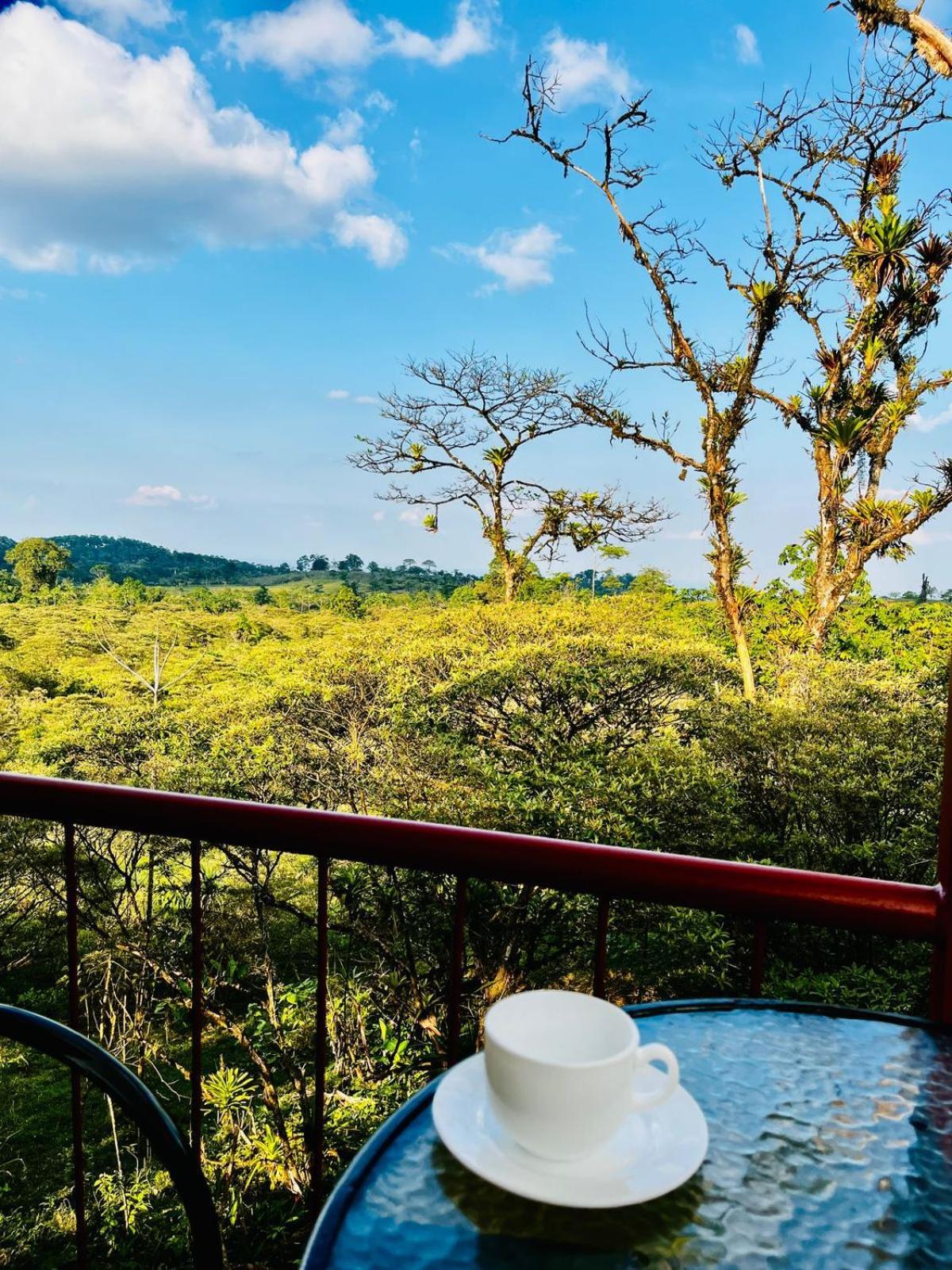 Garza Del Sol Glamping Rio Celeste Buganvilia Esterno foto