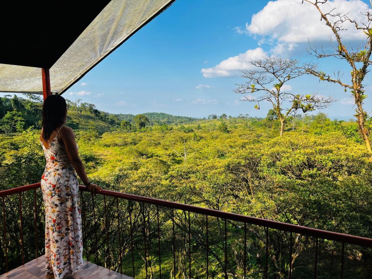 Garza Del Sol Glamping Rio Celeste Buganvilia Esterno foto